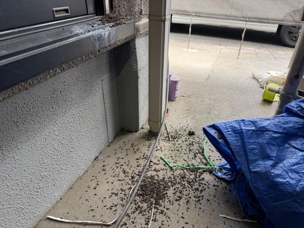 過去にコウモリが住みかとしていました。